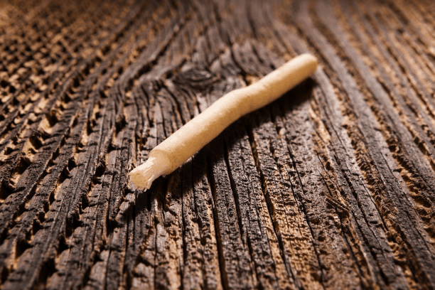 Miswak benefits